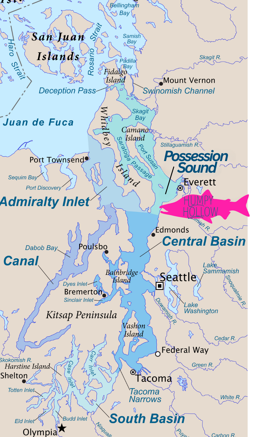 What Is Humpy Hollow? The Pink Salmon Hotspot Explained