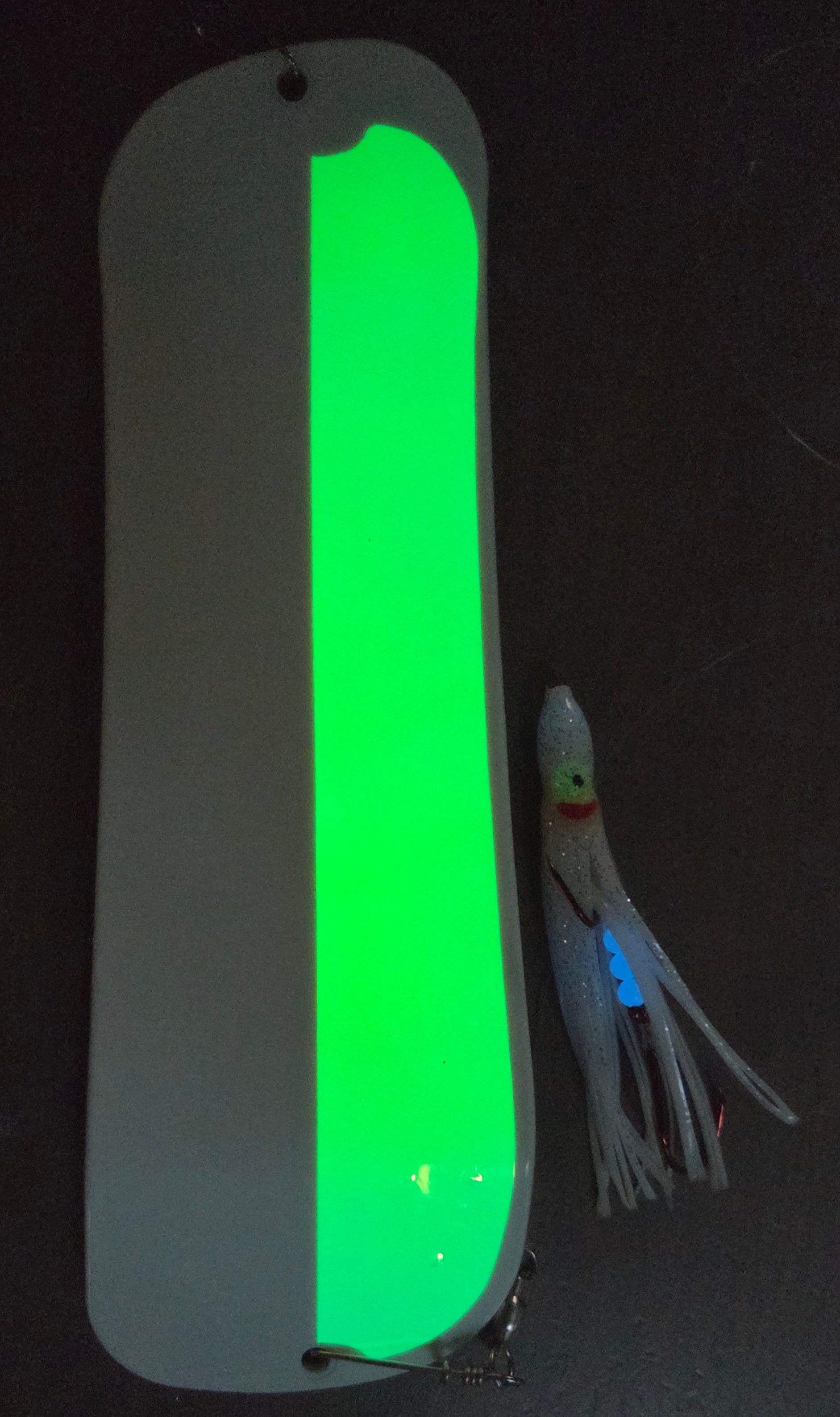 Glow fishing lure and squid
